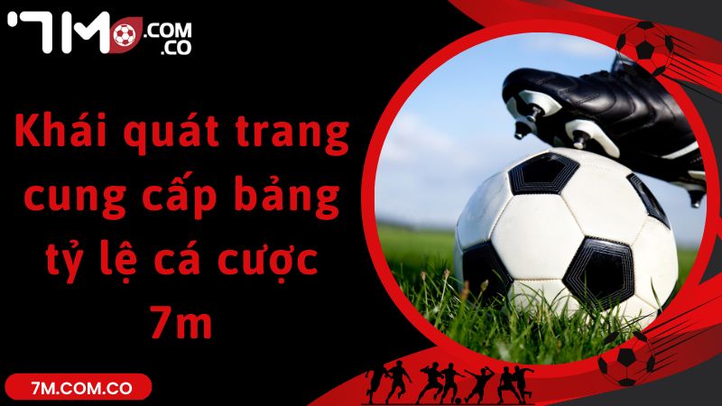 Khái quát trang cung cấp bảng tỷ lệ cá cược 7m