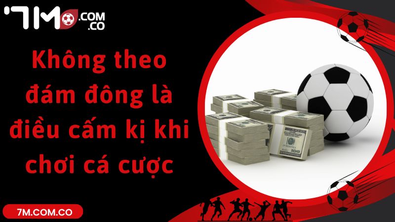 Không theo đám đông là điều cấm kỵ khi chơi cá cược