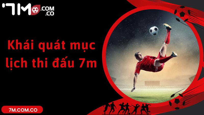 Khái quát mục lịch thi đấu 7m