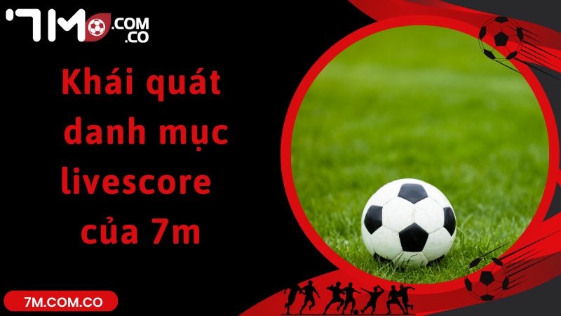 Khái quát danh mục livescore của 7m