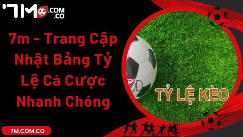 7m - Trang Cập Nhật Bảng Tỷ Lệ Cá Cược Nhanh Chóng