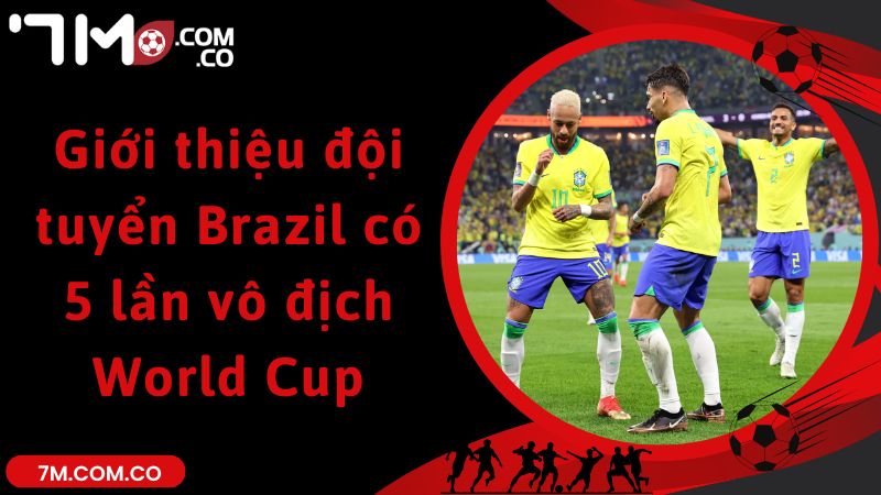 Giới thiệu đội tuyển Brazil có 5 lần vô địch World Cup